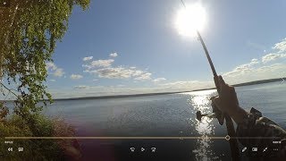 Белоярка. С фидером на острове. 21.07.2018