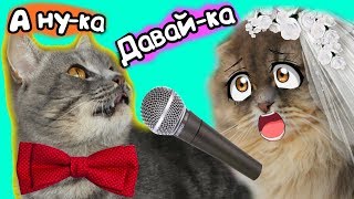 А ну-ка Давай-ка песня кота Макса. Премьера клипа.