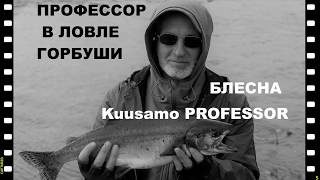Ловля горбуши на Терском берегу. Блесна KUUSAMO PROFESSOR. Техника апстрима.