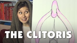 The Clitoris