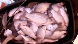 Зимняя рыбалкп Цимлянское ВДНХ