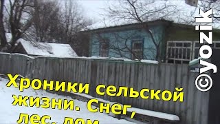 Хроники сельской жизни. Снег, лес, дом, ремонт, дрова, кот и ладушки.