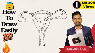 How to Draw Female Reproductive System step by step for Beginners !