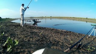 Ловля карася донкой на горох. Убийца карася в пролёте. Часть 1