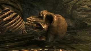 Skyrim Music Video - Get out alive
