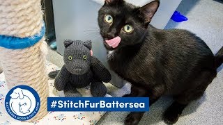 LoveKnitting x Battersea Dogs & Cats Home | #StitchFurBattersea