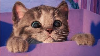 Little Kitten My Favorite Cat Pet Care Games #46 - Baby Learn Colours With Little Kitten Preschool