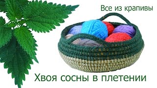 Хвоя сосны в плетении. Плетение из сосновых иголок. Все из крапивы.