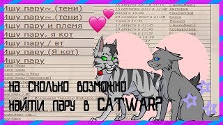 НА СКОЛЬКО ВОЗМОЖНО НАЙТИ ПАРУ В CATWAR? [CatWar]