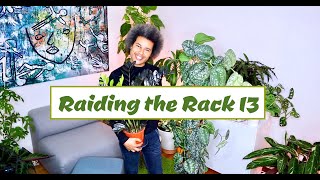 Raiding the Rack 13 - Zamioculcas zamiifolia 'Raven' + More...