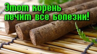ТРАВНИЦА О ЧУДО-РАСТЕНИИ, КОТОРОЕ ЛЕЧИТ ВСЕ БОЛЕЗНИ
