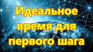 Идеальное время для первого шага