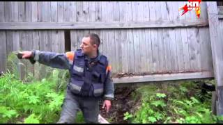 Как в Мурманской области заплутавшего лося спасали.