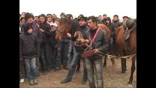 Скачки 2012 Гардабани Часть 4