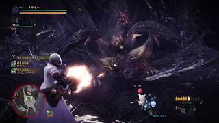 [MHW] 몬헌 확산 헤비보우건 연습(네르기간테)