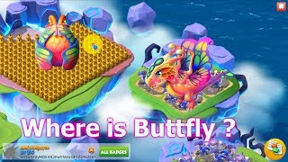 Did you get Buttfly Dragon ? - Dragon Mania Legends