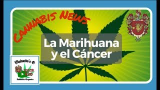 LA MARIHUANA CURA EL CANCER, PROXIMA LEGALIZACION DE LA MARIHUANA, Cannabis News.