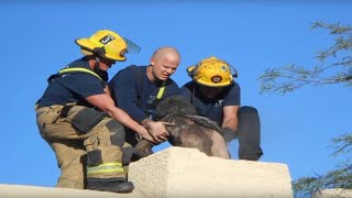 ყველაზე უცნაური ადგილები, სადაც ადამიანები გაჭედილან