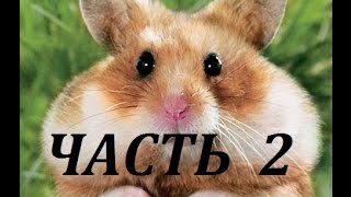 ВСЯ МОЯ ПРЯЖА ♥ ЧАСТЬ 2 ♥ ЛЕТНЯЯ ПРЯЖА ♥ ЧТО БУДУ ВЯЗАТЬ?! Mariya VD.