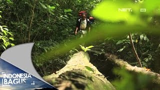 Indonesia Bagus - Kisah Kebanggaan dari Kutai Timur, Kalimantan Timur