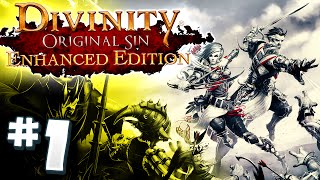 Divinity: Original Sin Enhanced Edition PS4 #1 HERMIONE & RON