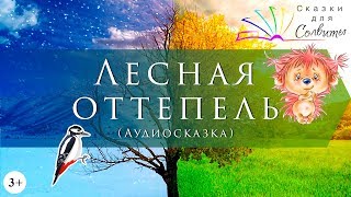Лесная оттепель | Сергей Козлов | Аудиосказки с картинками | Весенние сказки