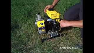 Мотопомпа Sadko WP-40 (12 м³/час) обзор