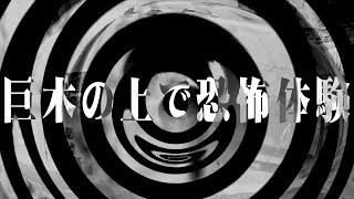 【朗読】 巨木の上で恐怖体験 【営業のＫさんシリーズ】