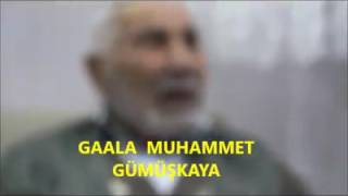 Hemşinliler oğuz kökenli  /Хемшилы не армяне