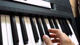 dist.guitar psr-e243 song