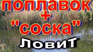 ЭТА СНАСТЬ, не боится ветра и ряби - поплавок и пружина, очень УЛОВИСТАЯ СНАСТЬ