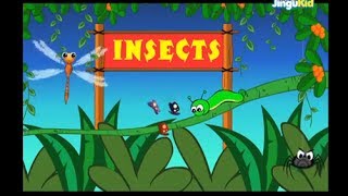 Learn About Insects | 3D Nursery Rhymes for Kids | Kindergarten | Preschool Songs For Children