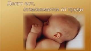 Грудное вскармливание часть II. Правила кормления грудью Нехватка молока Сцеживание молока???