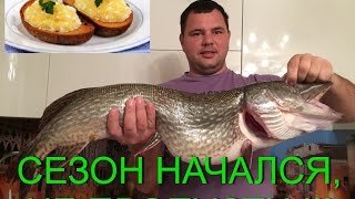 Щучья икра. Как правильно, быстро разделать рыбу и вкусно приготовить икру из щуки. #Икращучья