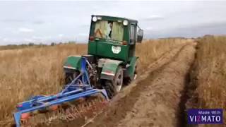 Самодельный трактор переломка пашет 3х корпусным плугом/ Homemade mini tractor