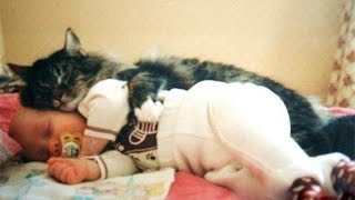 Cats and babies cuddling – Cute cat and baby compilation