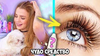 КАК ОТРАСТИТЬ длинные ресницы ЗА НЕДЕЛЮ? ♡ RINA