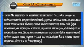 Перевод суры ат-Тин на русский язык с чтением Машари бин Рашида аль-Афаси