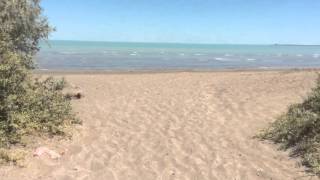 Приозёрск Золотой пляж