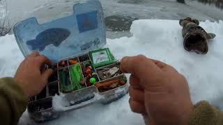 Прогулка по зимней Десне ! спиннинг промоины !
