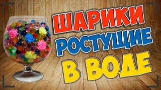 Посылка из Китая | Шарики растущие в воде +Timelapse