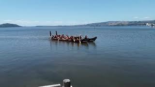 Coming back to shore lake rotorua Waitangi day 2020