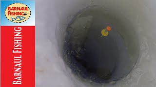 КОРОМЫСЛО РУЛИТ! ЛОВЛЯ ПОДЛЕЩИКА.ЗИМНЯЯ РЫБАЛКА 2020