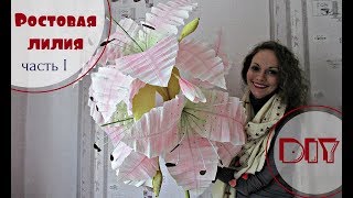 Ростовая ЛИЛИЯ. Видео мастер-класс. Часть 1
