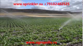 спринклерный полив Agropoliv ru