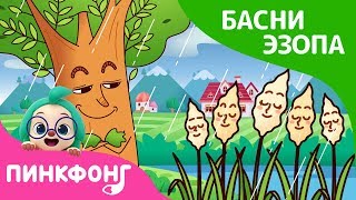 Дуб и тростник | Басни Эзопа | Пинкфонг Рассказы для Детей