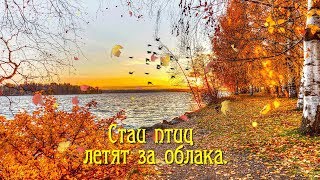 Эту осень я дарю тебе!