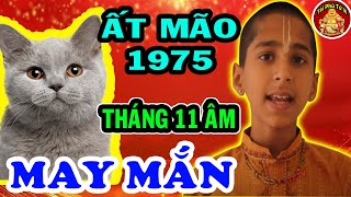 Tử Vi Ất Mão 1975 Ghi Nhớ Điều Này Chắc Chắn NỔ LỘC Giàu Sang Chạm Nóc Tháng 11 ÂL