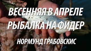 ЛОВЛЯ НА ФИДЕР ВЕСНОЙ. РЫБАЛКА В АПРЕЛЕ С НОРМУНДОМ ГРАБОВСКИСОМ НА РЫБЦА ПЛОТВУ