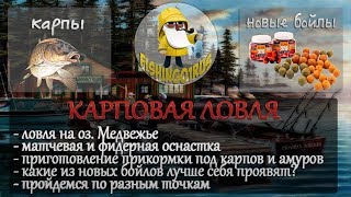 КАРПОВАЯ ЛОВЛЯ! НОВЫЕ БОЙЛЫ! МАТЧИ И ФИДЕРЫ! РУССКАЯ РЫБАЛКА 4!